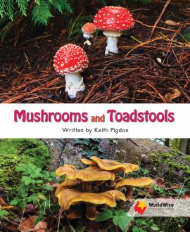 Mushrooms and Toadstools