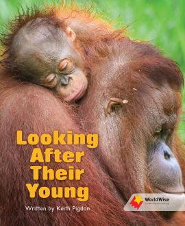 Looking After Their Young