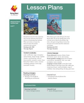 Lesson Plan - Restoring Coral Reefs | Colorful Coral
