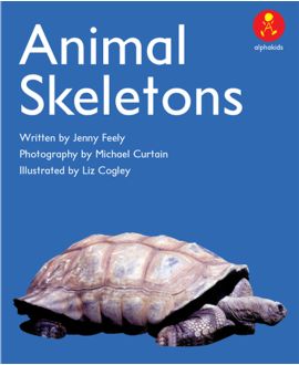 Animal Skeletons