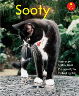 Sooty