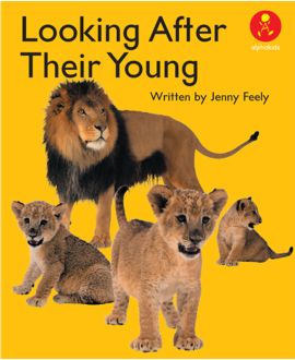 Looking After Their Young
