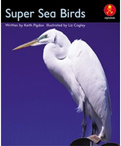 Super Sea Birds
