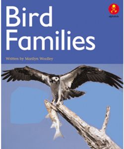 Bird Families