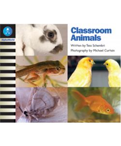 Classroom Animals