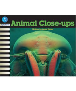 Animal Close-ups