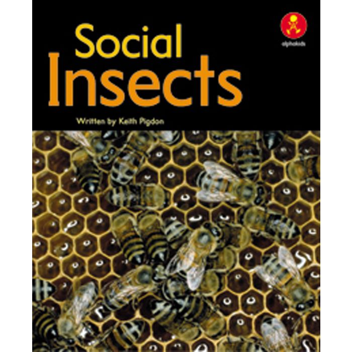 Examples Of Social Insects