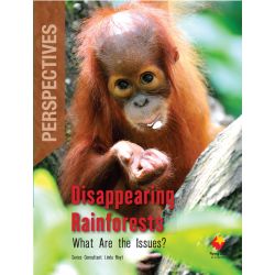 Disappearing Rainforests: What Are the Issues?