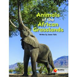 Animals of the African Grasslands