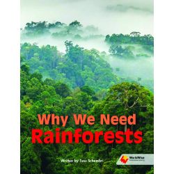 Why We Need Rainforests