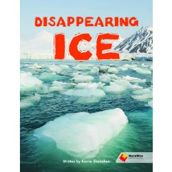 Disappearing Ice