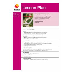 Lesson Plan - Silkworms