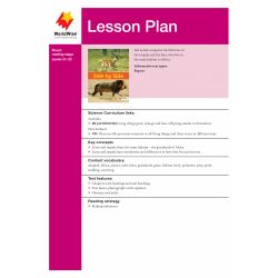 Lesson Plan - Side By Side
