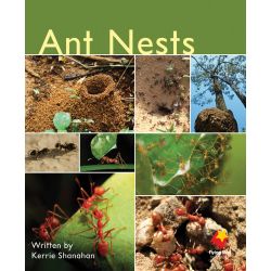 Ant Nests