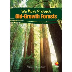 We Must Protect Old Growth Forests