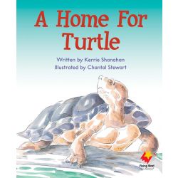 A Home For Turtle