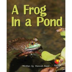 A Frog in the Pond