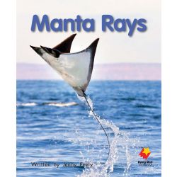 Manta Rays