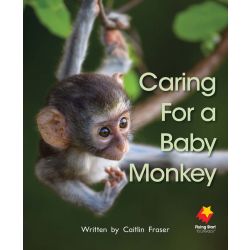 Caring For A Baby Monkey