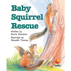 Baby Squirrel Rescue