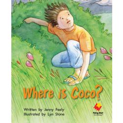 Where is Coco?