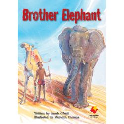 Brother Elephant