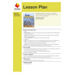 Lesson Plan - Busy Highways