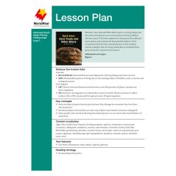 Lesson Plan - Rock Snot, Cane Toads and Other Aliens