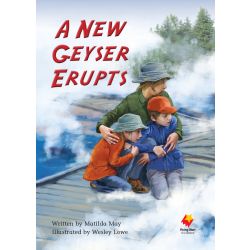 A New Geyser Erupts