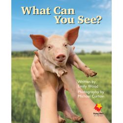 What Can You See?