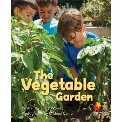 The Vegetable Garden