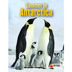 Summer in Antarctica