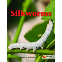 Silkworms