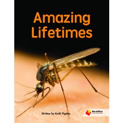 Amazing Lifetimes