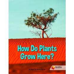 How Do Plants Grow Here?