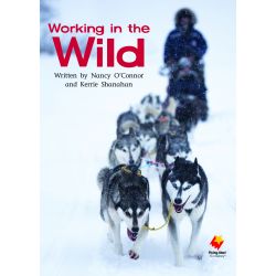 Working in the Wild