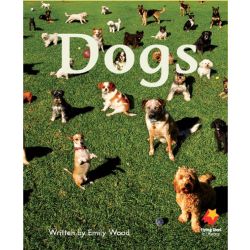Dogs