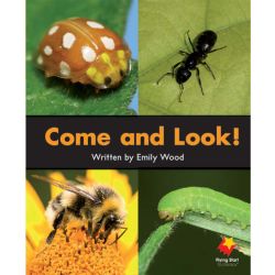 Come and Look!
