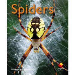 Spiders