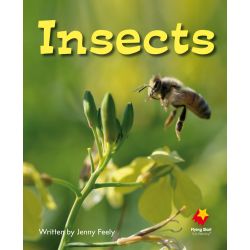 Insects
