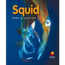 Squid