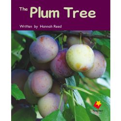 The Plum Tree