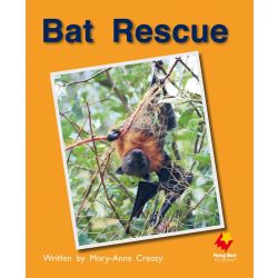 Bat Rescue