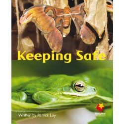 Keeping Safe