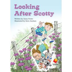 Looking After Scotty