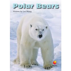 Polar Bears