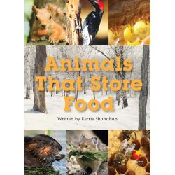 Animals That Store Food