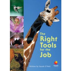 The Right Tools for the Job