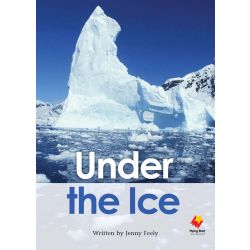 Under the Ice