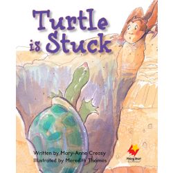 Turtle is Stuck
